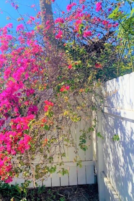 Bright And Beachy 2Bed 1Bath Home - Unit 210 코코아비치 외부 사진